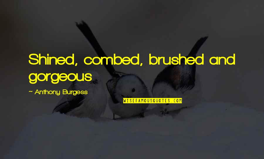 Aaron Peirsol Quotes By Anthony Burgess: Shined, combed, brushed and gorgeous