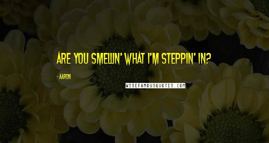 Aaron quotes: Are you smellin' what I'm steppin' in?