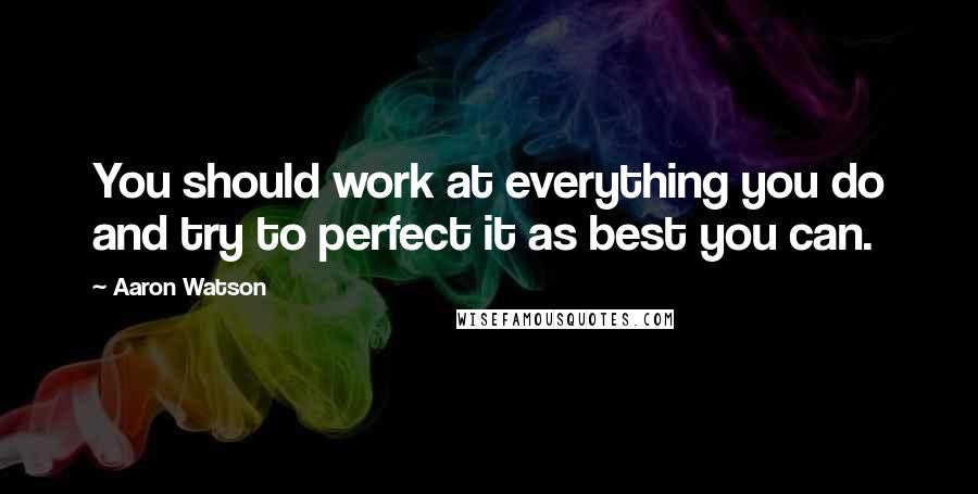 Aaron Watson quotes: You should work at everything you do and try to perfect it as best you can.