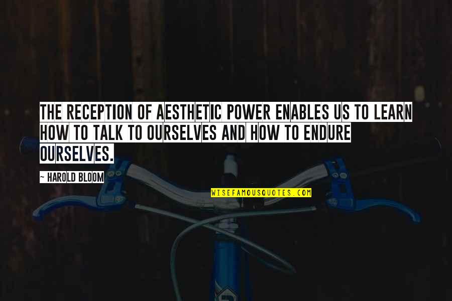 Aart Staartjes Quotes By Harold Bloom: The reception of aesthetic power enables us to Aart Staartjes Quotes By Harold Bloom: The reception of aesthetic power enables us to