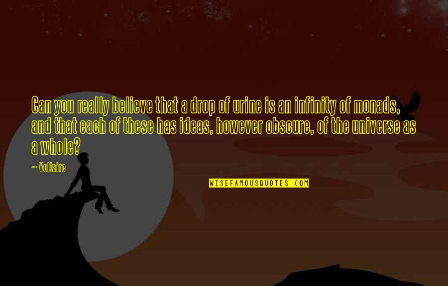 Aarup Kubal Npi Quotes By Voltaire: Can you really believe that a drop of Aarup Kubal Npi Quotes By Voltaire: Can you really believe that a drop of