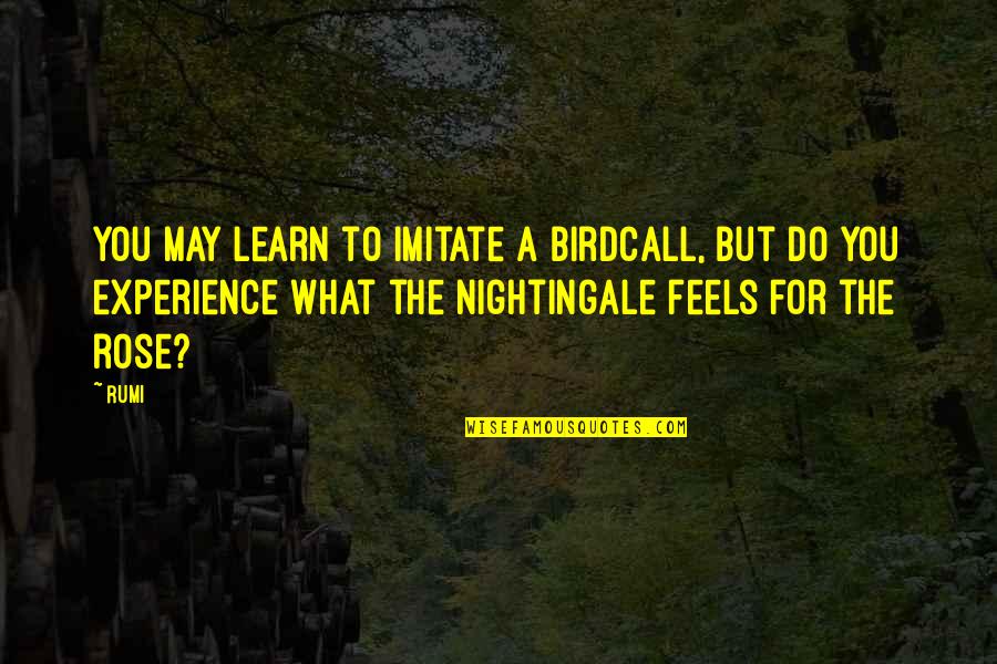 Aazam Ansari Quotes By Rumi: You may learn to imitate a birdcall, but