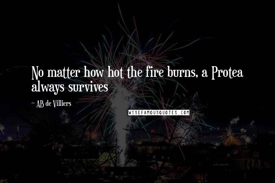 AB De Villiers quotes: No matter how hot the fire burns, a Protea always survives