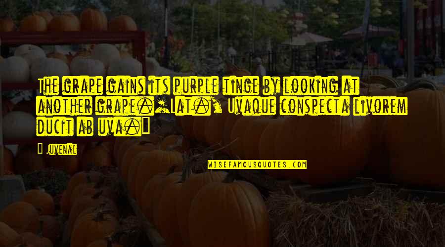 Ab'acot Quotes By Juvenal: The grape gains its purple tinge by looking