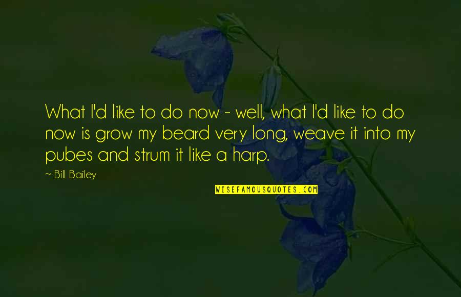 Abah Quotes By Bill Bailey: What I'd like to do now - well,