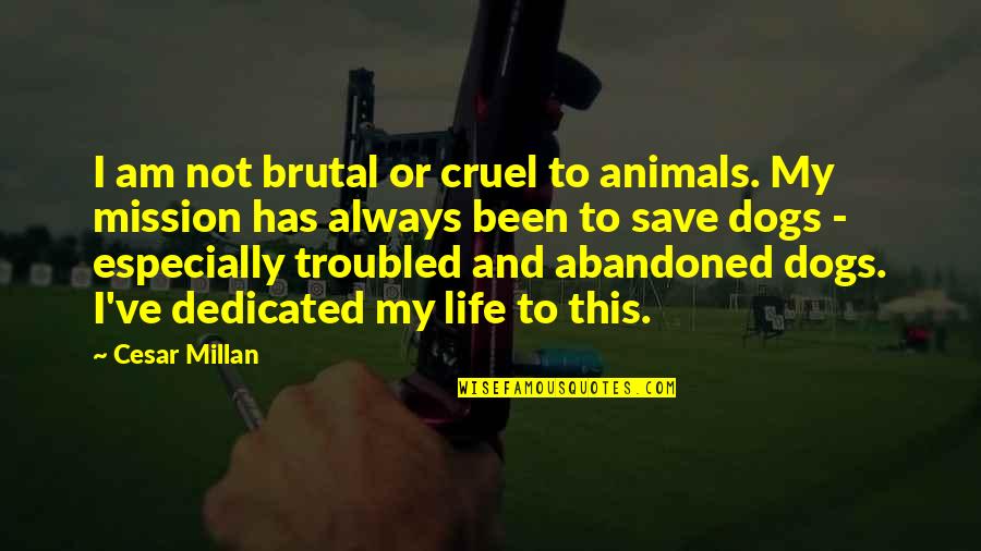 Abandoned Animals Quotes By Cesar Millan: I am not brutal or cruel to animals.