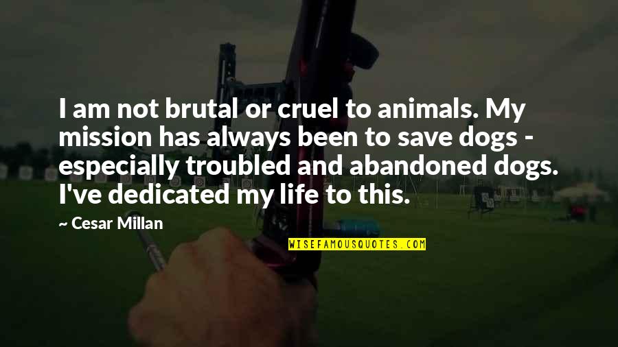 Abandoned Dogs Quotes By Cesar Millan: I am not brutal or cruel to animals.