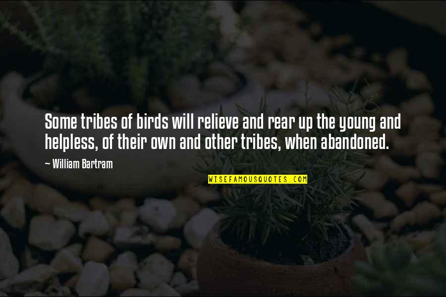 Abandoned Quotes By William Bartram: Some tribes of birds will relieve and rear