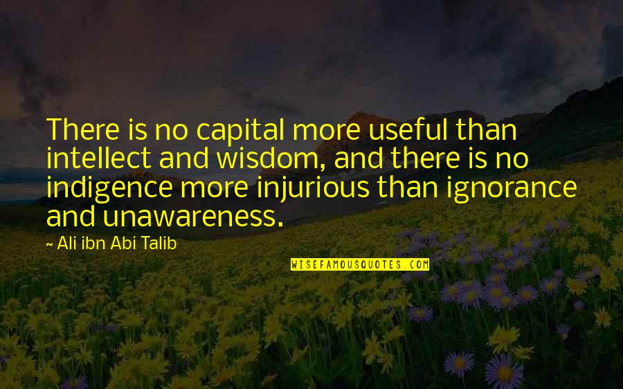 Abandonmen Quotes By Ali Ibn Abi Talib: There is no capital more useful than intellect