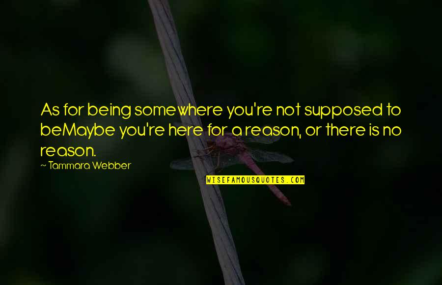 Abanoub Samaan Quotes By Tammara Webber: As for being somewhere you're not supposed to Abanoub Samaan Quotes By Tammara Webber: As for being somewhere you're not supposed to