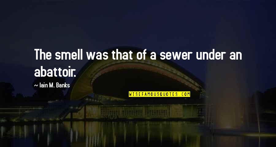 Abattoir Quotes By Iain M. Banks: The smell was that of a sewer under