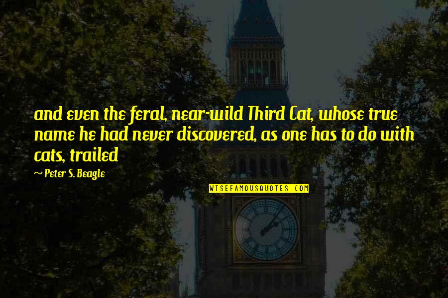 Abbaglianti E Quotes By Peter S. Beagle: and even the feral, near-wild Third Cat, whose