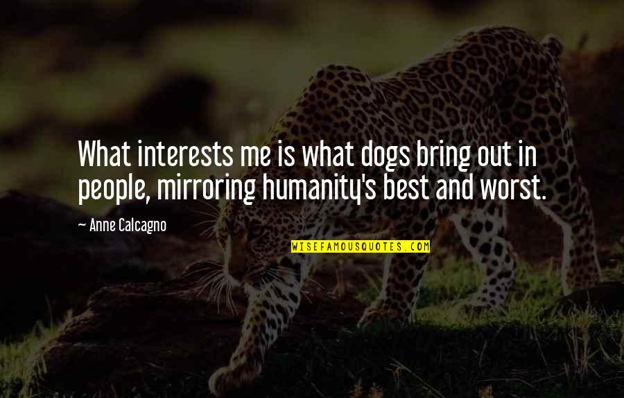Abbitt Quotes By Anne Calcagno: What interests me is what dogs bring out Abbitt Quotes By Anne Calcagno: What interests me is what dogs bring out
