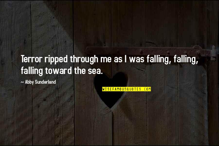Abby Sunderland Quotes By Abby Sunderland: Terror ripped through me as I was falling,