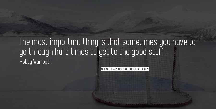 Abby Wambach quotes: The most important thing is that sometimes you have to go through hard times to get to the good stuff.