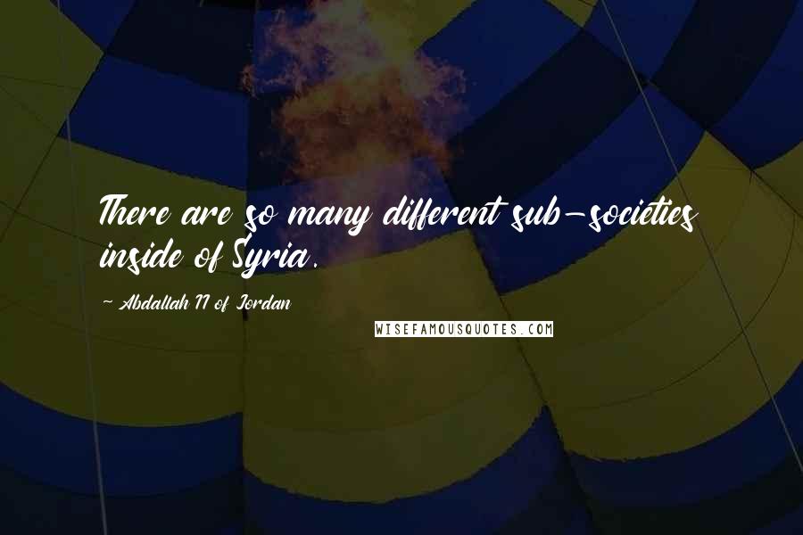 Abdallah II Of Jordan quotes: There are so many different sub-societies inside of Syria.