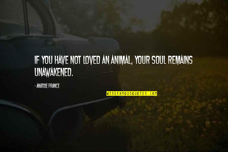 Abdelhadi Quotes By Anatole France: If you have not loved an animal, your