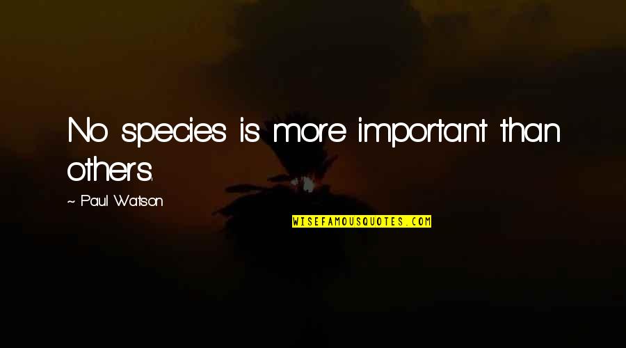 Abdelkarim Kissi Quotes By Paul Watson: No species is more important than others.