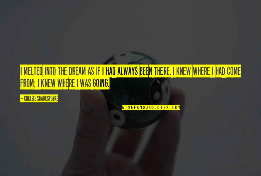 Abdellah Nursing Quotes By Chelsie Shakespeare: I melted into the dream as if I