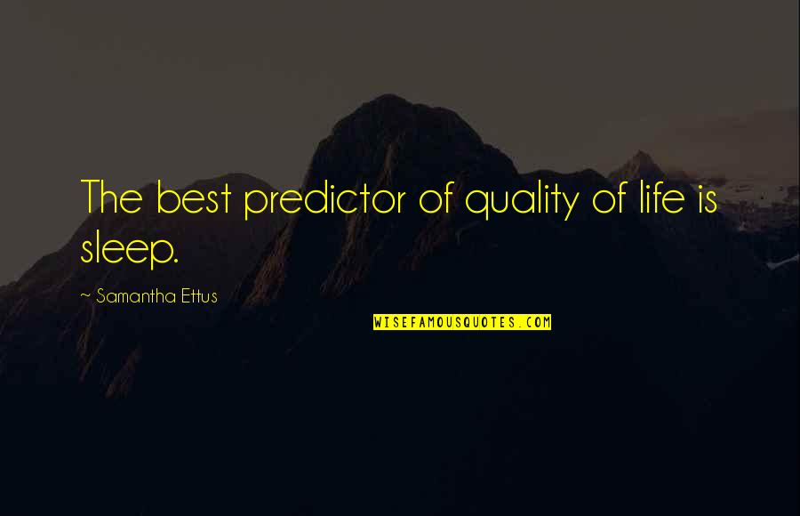 Abderraouf Ouertani Quotes By Samantha Ettus: The best predictor of quality of life is Abderraouf Ouertani Quotes By Samantha Ettus: The best predictor of quality of life is