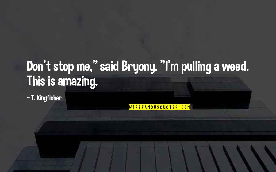 Abderraouf Ouertani Quotes By T. Kingfisher: Don't stop me," said Bryony. "I'm pulling a
