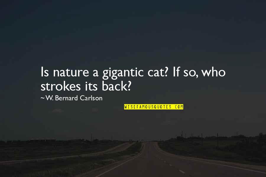 Abdessalam Jalloud Quotes By W. Bernard Carlson: Is nature a gigantic cat? If so, who