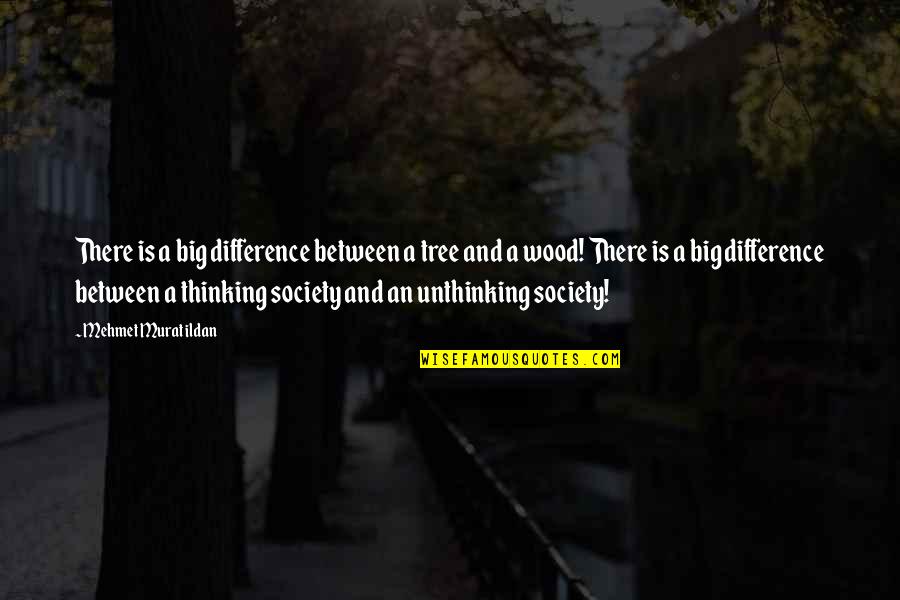 Abdolreza Abbassian Quotes By Mehmet Murat Ildan: There is a big difference between a tree