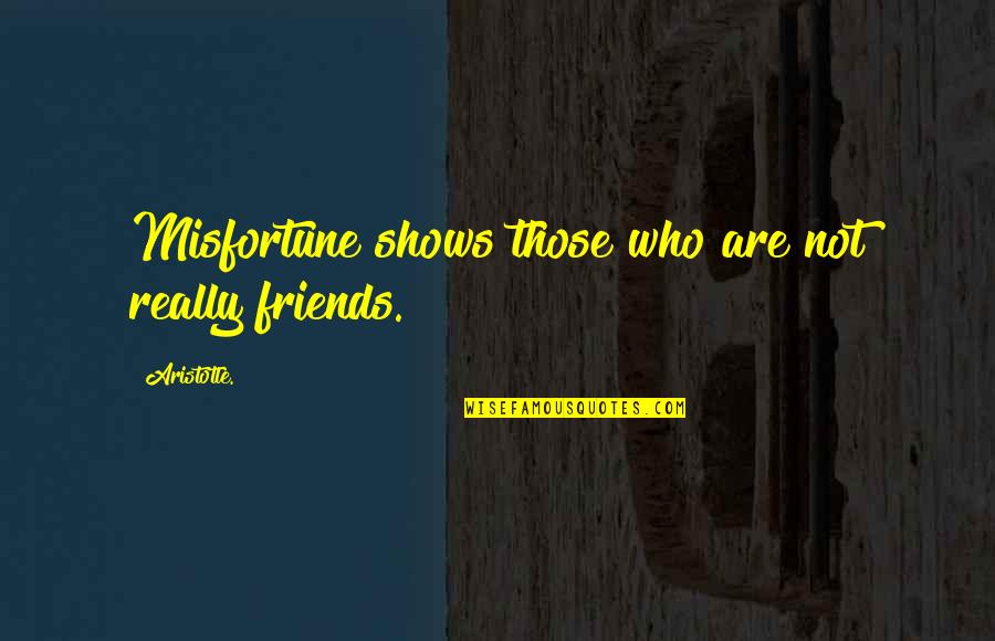 Abdomen Diagram Quotes By Aristotle.: Misfortune shows those who are not really friends.