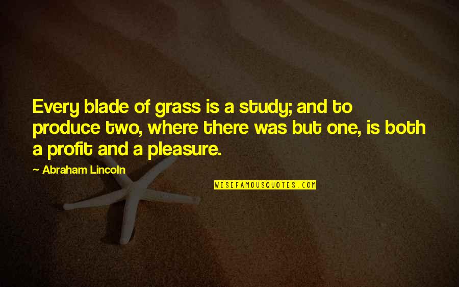 Abdominal Pain Quotes By Abraham Lincoln: Every blade of grass is a study; and