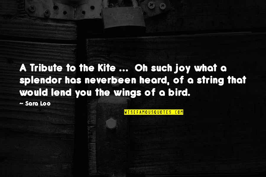 Abdul Haleem Translation Quotes By Sara Loo: A Tribute to the Kite ... Oh such