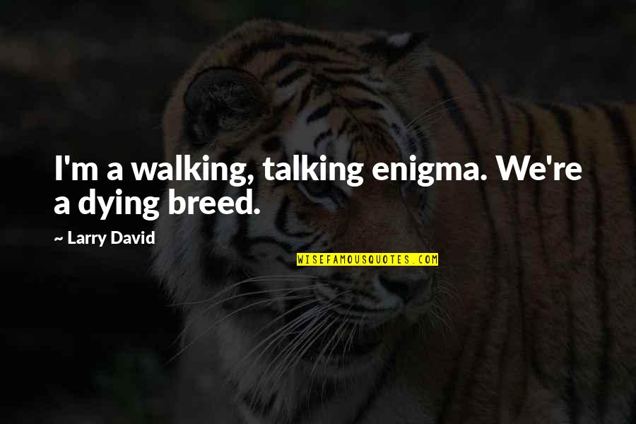Abdul Sattar Love Quotes By Larry David: I'm a walking, talking enigma. We're a dying Abdul Sattar Love Quotes By Larry David: I'm a walking, talking enigma. We're a dying