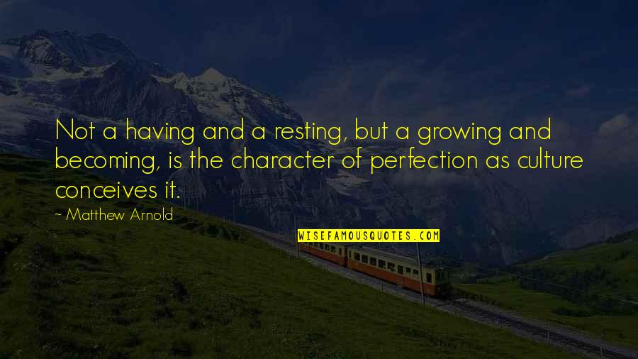 Abdulwahab Appliances Quotes By Matthew Arnold: Not a having and a resting, but a Abdulwahab Appliances Quotes By Matthew Arnold: Not a having and a resting, but a