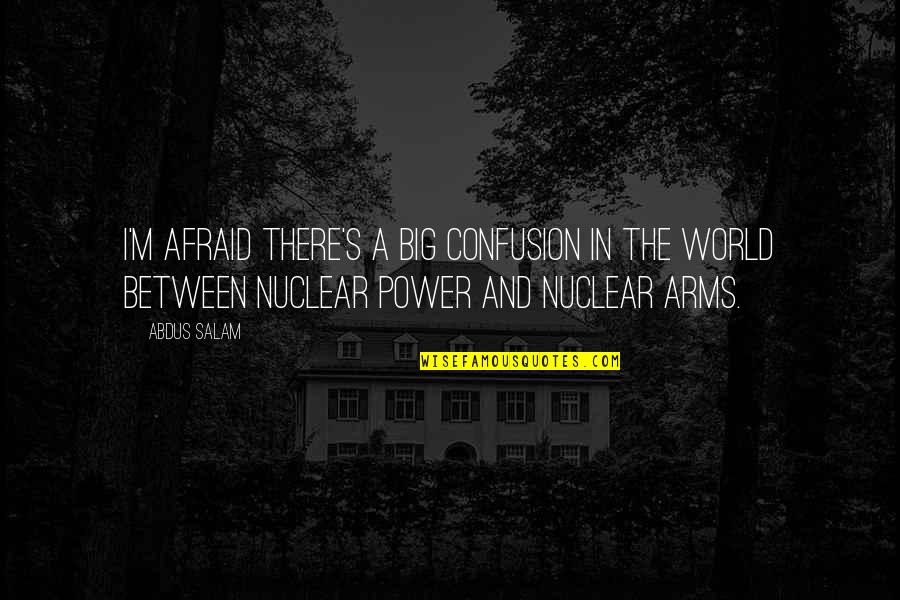 Abdus Quotes By Abdus Salam: I'm afraid there's a big confusion in the Abdus Quotes By Abdus Salam: I'm afraid there's a big confusion in the