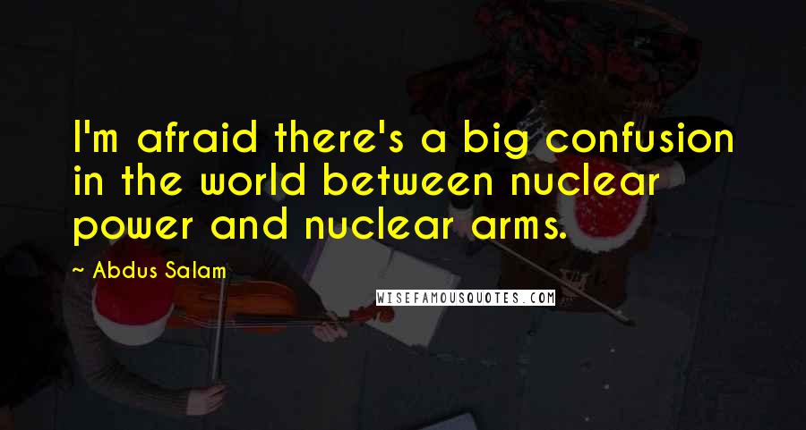 Abdus Salam quotes: I'm afraid there's a big confusion in the world between nuclear power and nuclear arms.