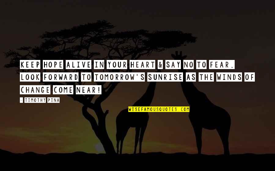 Abe Quotes By Timothy Pina: Keep hope alive in your heart & say