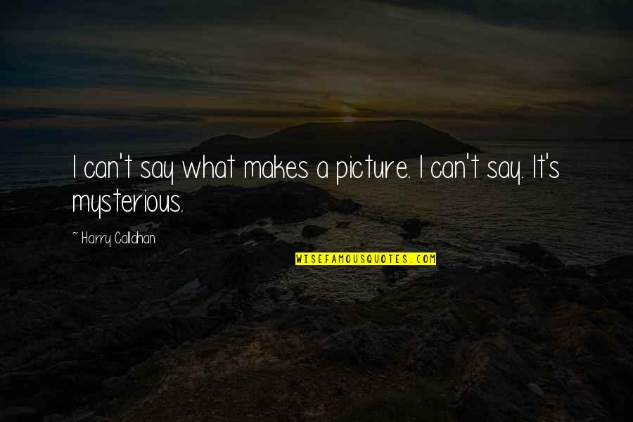Abecassis Management Quotes By Harry Callahan: I can't say what makes a picture. I