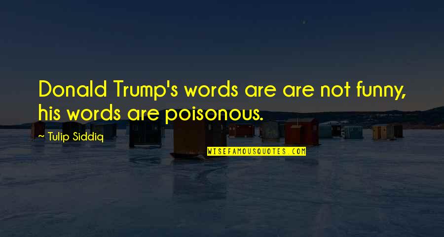 Abedini Divorce Quotes By Tulip Siddiq: Donald Trump's words are are not funny, his