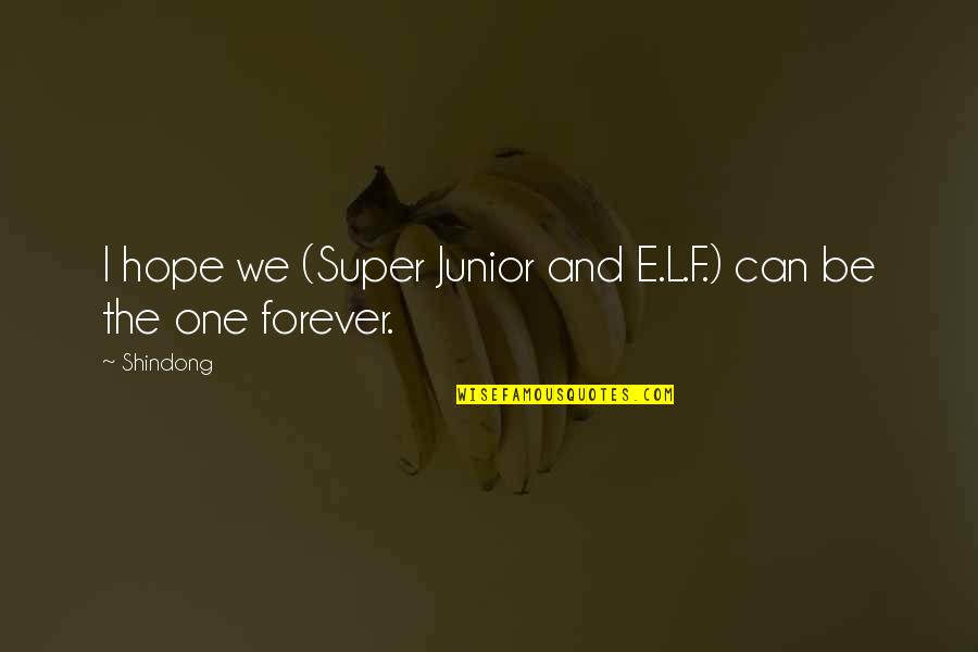 Abedini Family Quotes By Shindong: I hope we (Super Junior and E.L.F.) can
