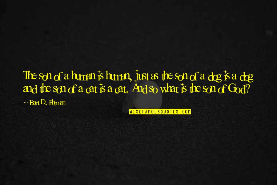Abegglen Pfister Quotes By Bart D. Ehrman: The son of a human is human, just