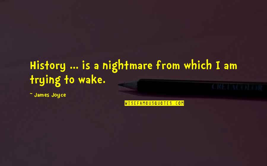 Abel Wolman Quotes By James Joyce: History ... is a nightmare from which I