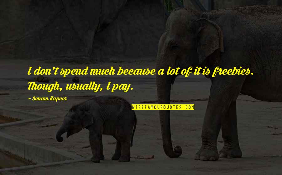 Abele Builders Quotes By Sonam Kapoor: I don't spend much because a lot of
