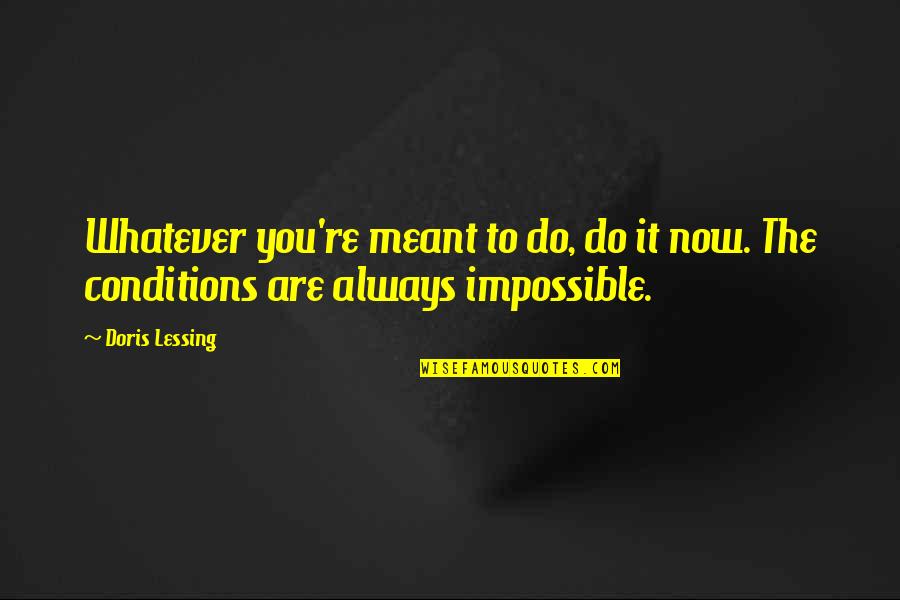 Abelhas A Beira Quotes By Doris Lessing: Whatever you're meant to do, do it now.