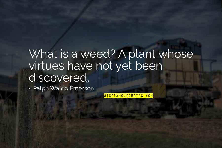 Abellard Md Quotes By Ralph Waldo Emerson: What is a weed? A plant whose virtues