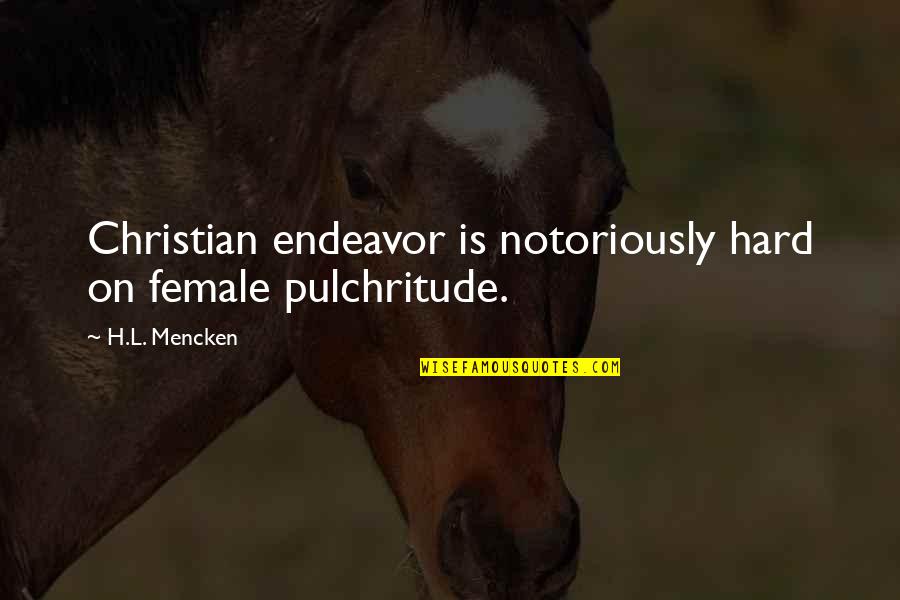 Abercrombies Tire Quotes By H.L. Mencken: Christian endeavor is notoriously hard on female pulchritude.