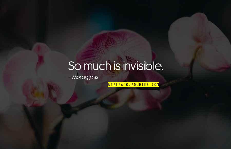 Abhinavagupta Quotes By Morag Joss: So much is invisible.