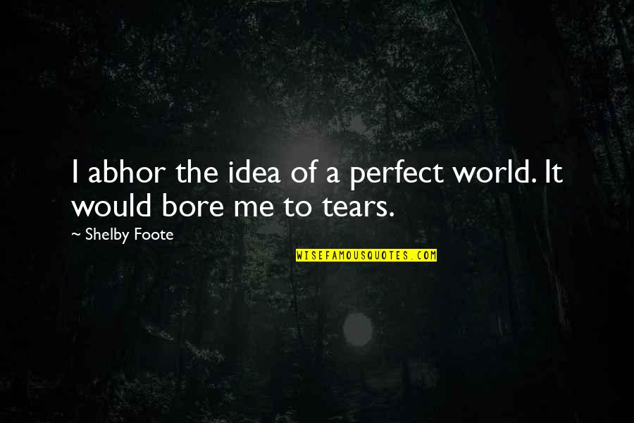 Abhor Quotes By Shelby Foote: I abhor the idea of a perfect world.