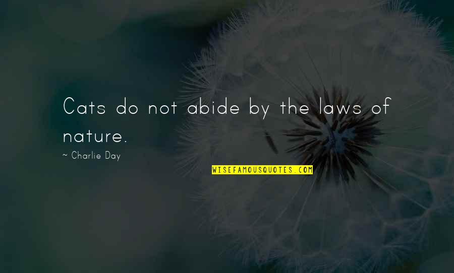 Abide Quotes By Charlie Day: Cats do not abide by the laws of