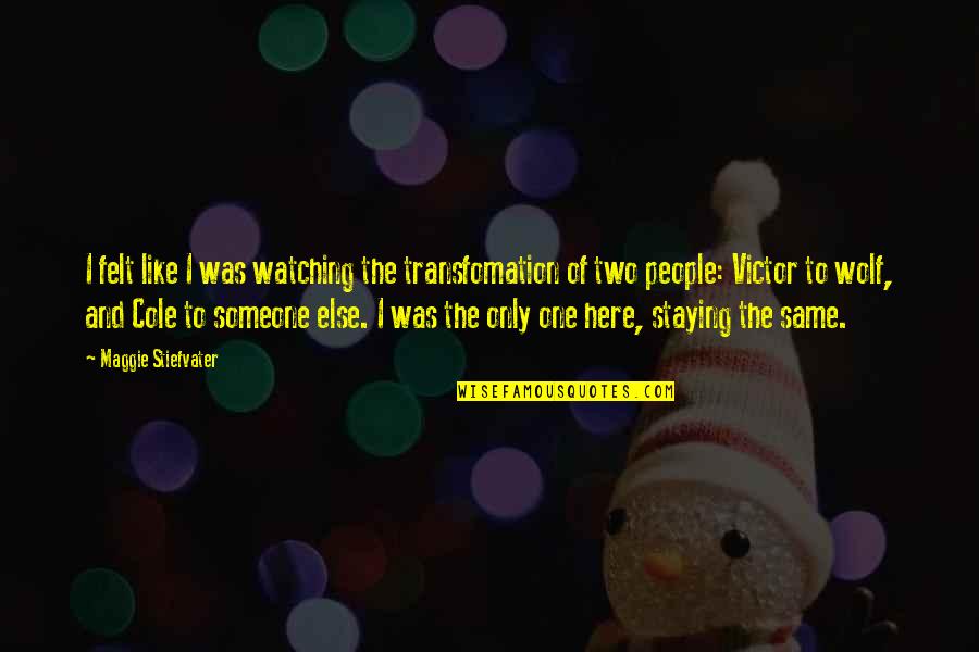 Abidemi Quotes By Maggie Stiefvater: I felt like I was watching the transfomation Abidemi Quotes By Maggie Stiefvater: I felt like I was watching the transfomation