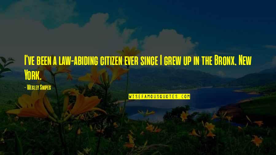 Abiding Quotes By Wesley Snipes: I've been a law-abiding citizen ever since I