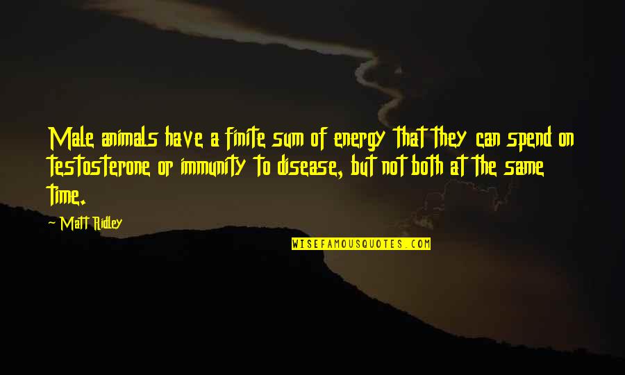 Abie Nathan Quotes By Matt Ridley: Male animals have a finite sum of energy